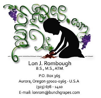 bunchgrapes.com