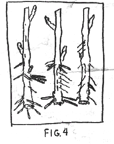 fig.4