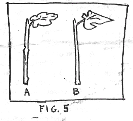 fig.5
